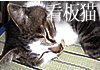 �O���[���T�v���C���肵��