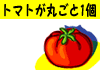 ��������[�߂�`�����s�I���V�b�v�D���I