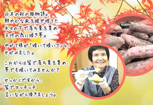 日本の秋の風物詩。鮮やかな衣を脱ぎ捨てた木々の下で落ち葉を集め、子供の為に焼き芋。やがて孫が「焼いて焼いて」と、せがみました。これからは皆で落ち葉を集め、芋でも焼いてみませんか？せっかくですから、皆でアッチッチ言いながら頂きましょう。

