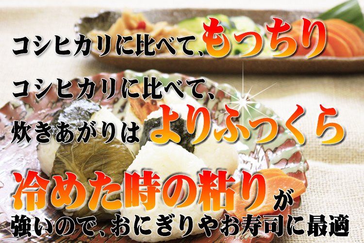 イクヒカリあいら