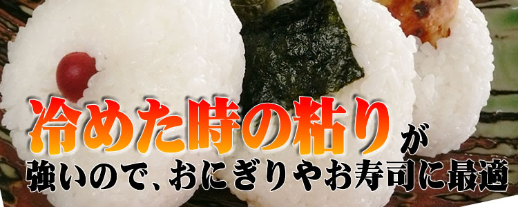 �C�N�q�J��������̓���