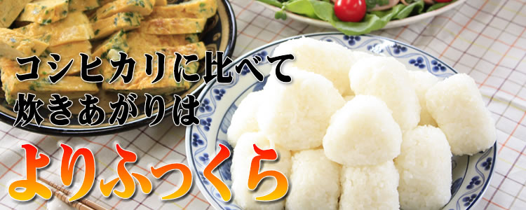 �C�N�q�J��������̓���