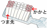 nuV̂ܐ楂