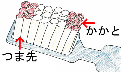 nuV̂ܐ楂