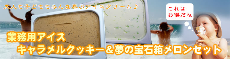キャラメルクッキー&夢の宝石箱メロンセット