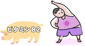 ビタミンB2