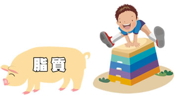 脂質