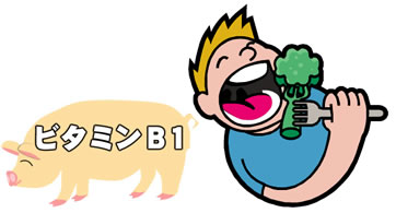 ビタミンB1