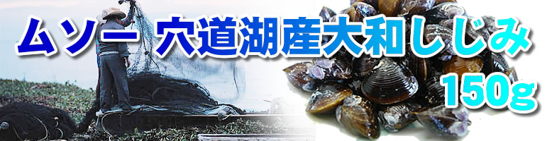 穴道湖産大和しじみ