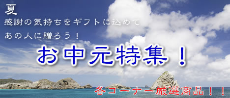 お中元特集!