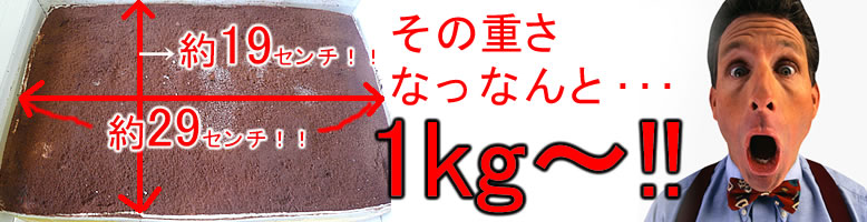 特大!!南瓜ティラミスケーキ