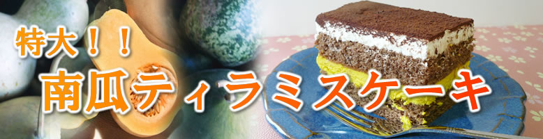 特大!!南瓜ティラミスケーキ